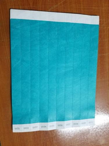 Blue Plain