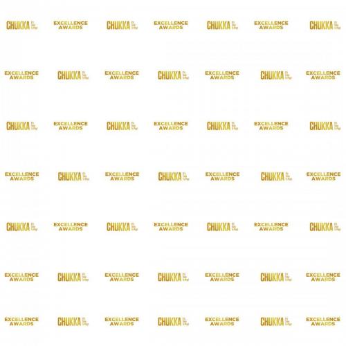 Step and Repeat Awards Excellence-2