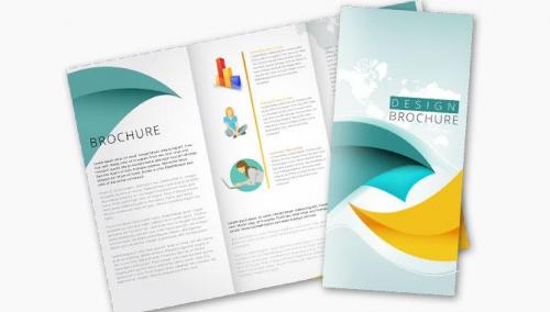 Tri Fold Brochure 1