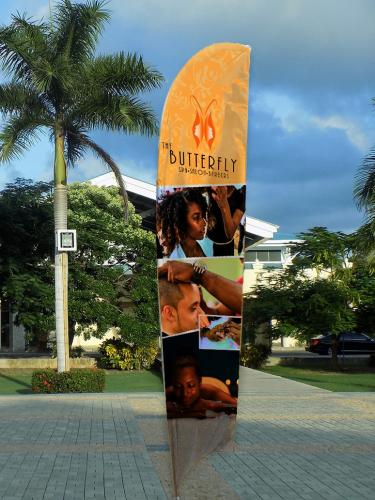 butterfly fbanner compressed