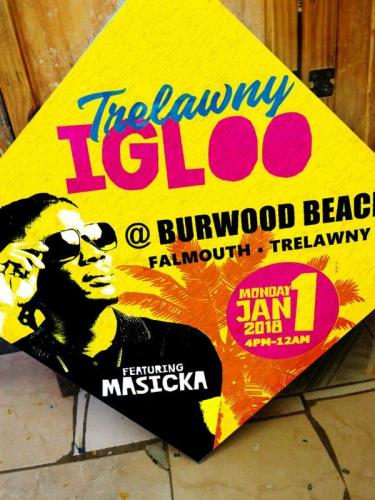 igloo screen
